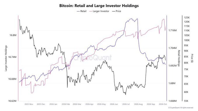 A line graph titled "Bitcoin: Retail and Large Investor Holdings" from CryptoQuant, tracking retail holdings (pink), larger investor holdings (blue), and price (black) from November 2025 through October 2026, showing price ranging roughly from $55K to $125K.
