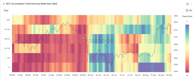A Glassnode heatmap titled "BTC: Accumulation Trend Score by Wallet Size (30d)" displays trend scores across six whale cohorts (from <1 BTC to >10k BTC) from March to September 2025, showing a shift from warm/red colors (high accumulation) to predominantly cool/blue tones (trending toward selling, score near 0), with the recent period reflecting widespread distribution across all wallet sizes.