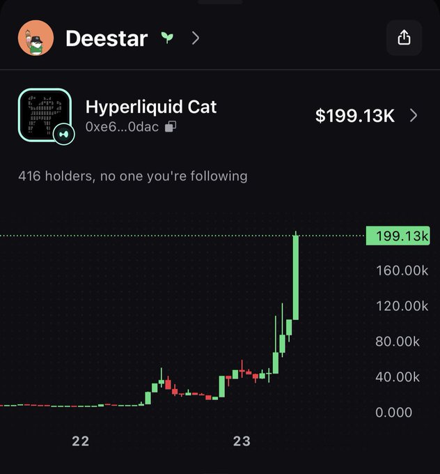 A screen showing the "Hyperliquid Cat" token (0xe6...0dac) on Deestar, priced at $199.13K with 416 holders and a sharp upward price spike chart. The image illustrates the explosive growth of a Hyperliquid-based meme token, supporting the post's warning to pay attention to memes on Hyperliquid ahead of the HyperEVM integration.