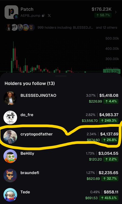 A mobile crypto portfolio screen showing a 'Patch' token (AEPB.pump) at $176.23K with 58.7% gain, listing holders including 'cryptogodfather' highlighted with a yellow circle.