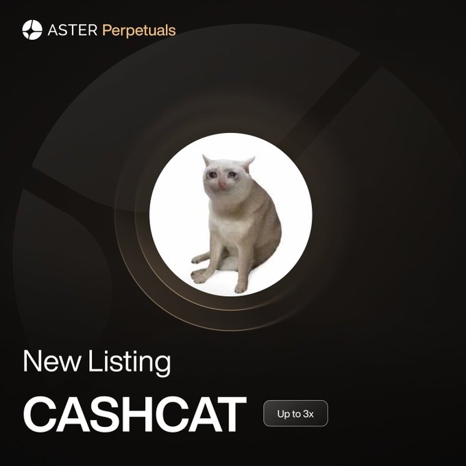 A promotional graphic for Aster Perpetuals announcing a new listing of "CASHCAT" perpetual contract with up to 3x leverage, featuring a cream-colored cat centered on a dark background—visually tying into the post's shoutout about Aster DEX being the place to trade $CASHCAT perps.
