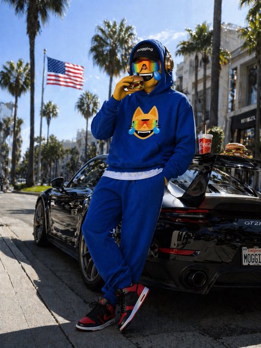 A person in a blue Shiba Inu-themed tracksuit and ski goggles leans against a black sports car on a palm-lined street, eating a burger with an American flag in the background.