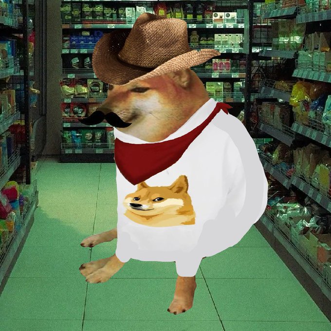 A Shiba Inu dog wearing a cowboy hat and a bandana-printed shirt stands in a grocery store aisle, featuring a Doge-style Shiba Inu on the shirt—fitting the post's "BONK BONK!" dog-themed meme with 150 minutes until the dogs get loose.