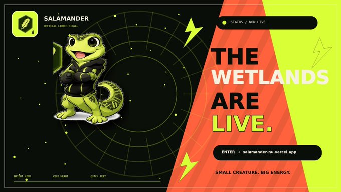 A promotional banner for 'SALAMANDER' official launch signal featuring a cartoon green salamander character in a hoodie holding a laptop, with text reading 'STATUS / NOW LIVE', 'THE WETLANDS ARE LIVE.', 'ENTER → salamander-nu.vercel.app', and tagline 'SMALL CREATURE. BIG ENERGY.'