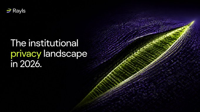A dark banner for "Rayls" displays the headline "The institutional privacy landscape in 2026," set against a stylized green digital eye on a dark purple background, visually reinforcing the post's theme of institutional control over data visibility.