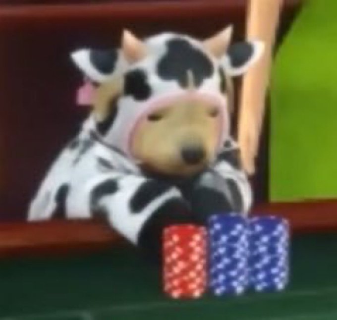 A cow wearing a cow-print hooded costume sits at a green felt table with stacks of red and blue poker chips in front of it.