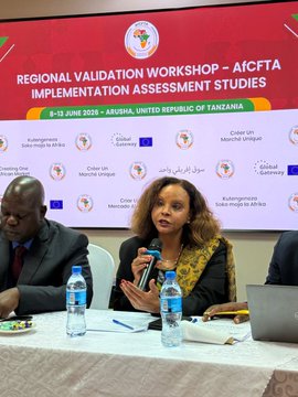 The image shows a group of people sitting around a table, with one person speaking into a microphone at the front of the room. The setting appears to be an event or gathering where participants are engaged in discussions or presentations related to Africa. There is a large banner hanging on the wall behind them that reads "Regional Validation Workshop - Aifta". Additionally, there are several bottles and cups placed around the table, suggesting refreshments have been provided for the attendees.