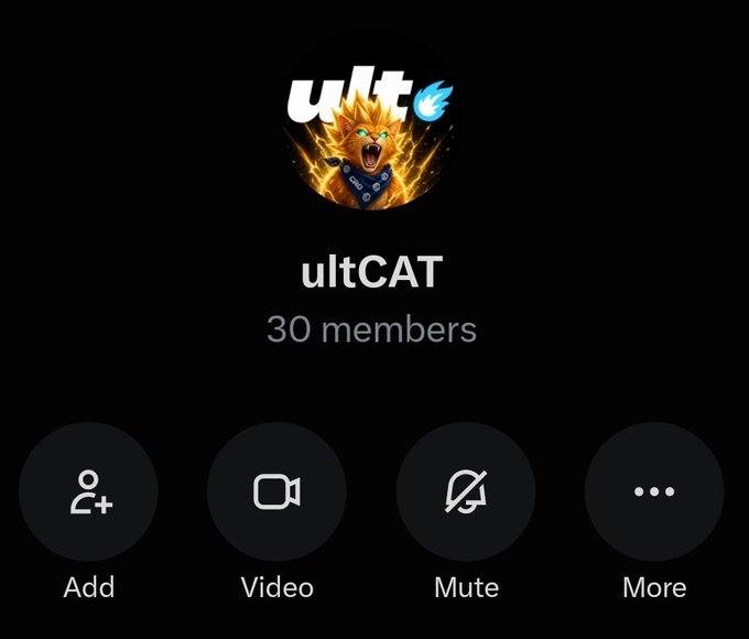 A screenshot of a group chat or voice call interface titled 'ultCAT' featuring a logo of a roaring cat with flames, showing '30 members' with options to Add, Video, Mute, and More.