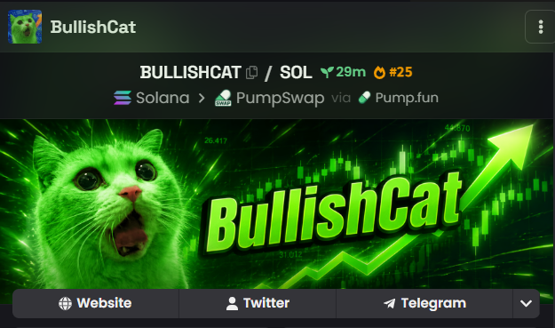 A screenshot of a token page for 'BULLISHCAT' on the Solana network via PumpSwap via Pump.fun, featuring a green-tinted cat graphic with a shocked expression, an upward green chart arrow, and links to Website, Twitter, and Telegram.