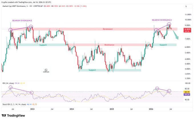 A TradingView weekly chart of iShares USDO/USDT Dominance (CRYPTO:D) shows price action with 'BEARISH DIVERGENCE' annotations at resistance levels, with the price around 8.343%.