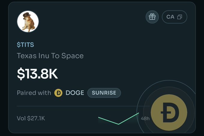 Dark-themed digital asset tracker screen showing '$TITS - Texas Inu To Space' priced at $13.8K, paired with DOGE on the SUNRISE platform, with a 48h chart and $27.1K volume.