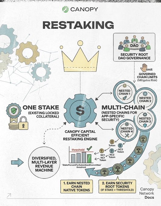 An infographic by Canopy explains 'RESTAKING' as a system using one stake of locked collateral to secure multiple nested chains through a 'CANOPY CAPITAL EFFICIENT RESTAKING ENGINE', governed by a 'SECURITY ROOT DAO'.
