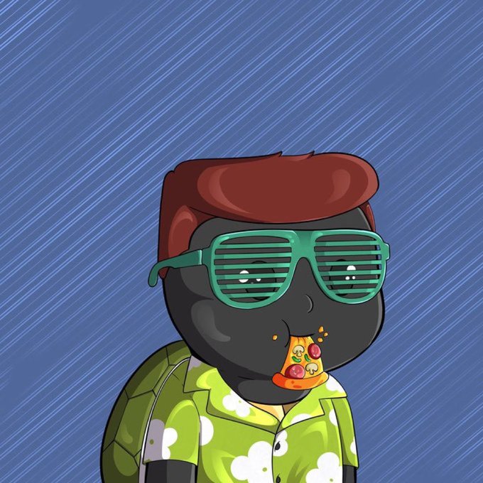 A cartoon turtle character sporting red hair, green shutter shades, and a Hawaiian shirt is enjoying a slice of pizza, fittingly representing the Turtle Tribe NFT community promotion.