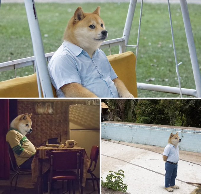 A three-panel composite image of a Shiba Inu dog humorously edited to have human-like body parts, wearing clothing in different everyday scenarios: sitting on a swing, at a restaurant table, and standing by a pool.