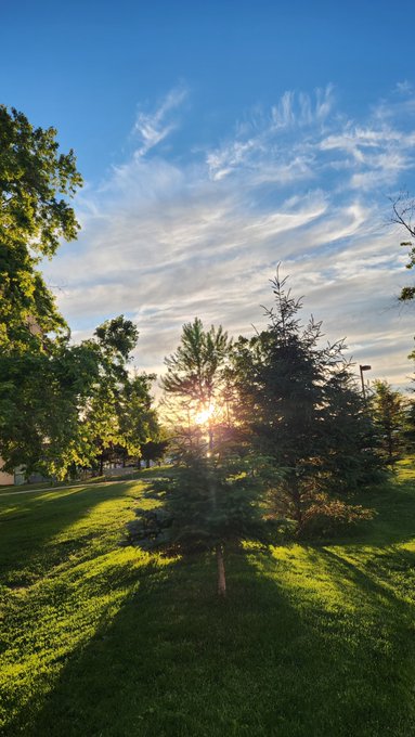 A serene park scene captures the rising sun peeking through evergreen trees, casting long shadows across the green grass under a partly cloudy blue sky—perfect inspiration to greet the day and embrace a productive Wednesday.