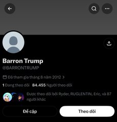 The image shows an X (formerly Twitter) profile page for "Barron Trump" (@BARRONTRUMP), created in December 2012, following 84 out of 455 accounts. The profile, which the caption suggests may belong to Donald Trump's eldest son, is being highlighted amid rumors about a potential Trump family meme token launch.