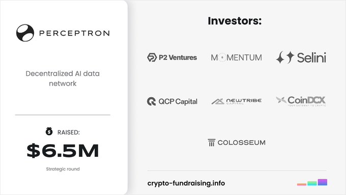A promotional graphic for Perceptron, a 'Decentralized AI data network' that raised $6.5M in a strategic round, listing investors including P2 Ventures, Momentum, Selini, QCP Capital, Newtribe, CoinDCX, and Colosseum.