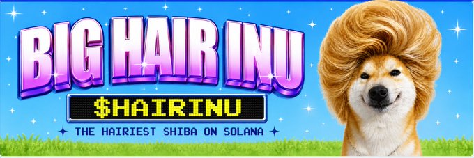 The image is a colorful banner for the Solana meme token "$HAIRINU" featuring a Shiba Inu dog with exaggeratedly large, voluminous blonde hair against a sparkly blue sky and grass background. The bold text reads "BIG HAIR INU" with "$HAIRINU - THE HAIRIEST SHIBA ON SOLANA" displayed below, fitting the whimsical branding of the Solana-based meme coin.