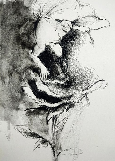 A charcoal drawing depicts a dreamlike figure nestled within a blooming rose, evoking the petal-as-human metaphor shared in the post, with the artwork advertised as a new 15 Tezos NFT drop on objkt.com.