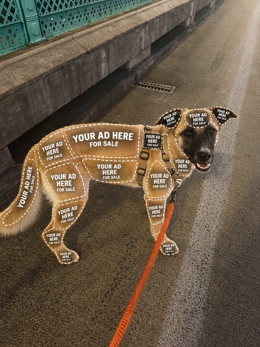 A dog wearing a cardboard advertising cutout covered in 'YOUR AD HERE FOR SALE' text stands on a leash on a paved walkway near a bench.