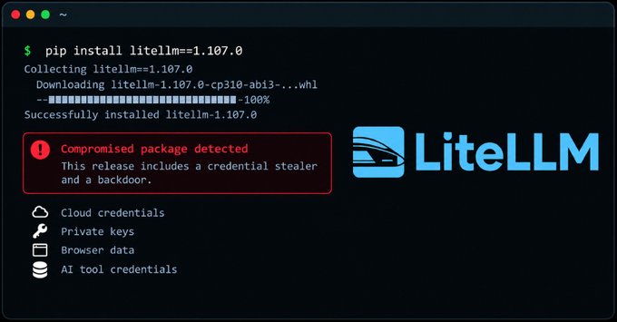 A terminal window showing a security warning: a red alert box states 'Compromised package detected' for 'litellm==1.107.0', noting it includes a credential stealer and backdoor, with icons below warning of stolen cloud credentials, private keys, browser data, and AI tool credentials.