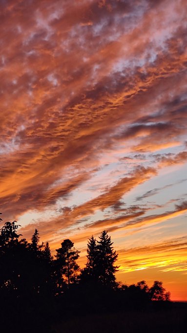 A dramatic sunset sky filled with orange and red clouds over a silhouette of evergreen trees.