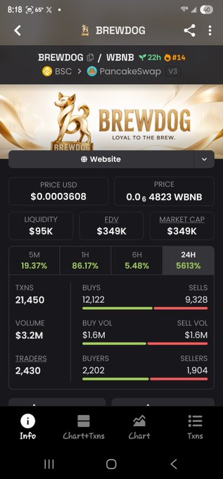 A cryptocurrency tracking app displaying details for BREWDOG (BNB) on PancakeSwap v3, showing a price of $0.0003608, market cap of $349K, and various transaction metrics.
