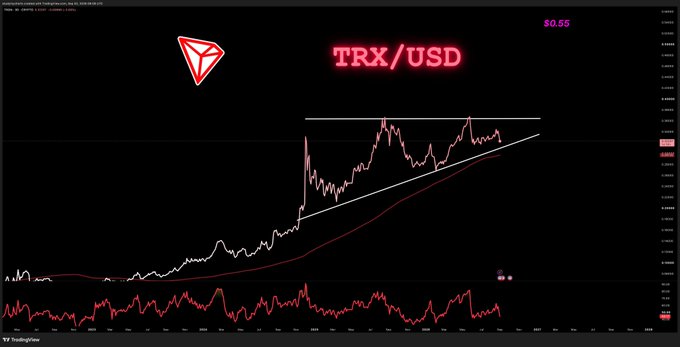A TradingView chart displays the TRX/USD price action, showing TRX trading at $0.055, forming an ascending triangle pattern with price currently pulling back toward the 3-day 200 moving average support, aligning with the post's suggestion of a potential bidding opportunity.