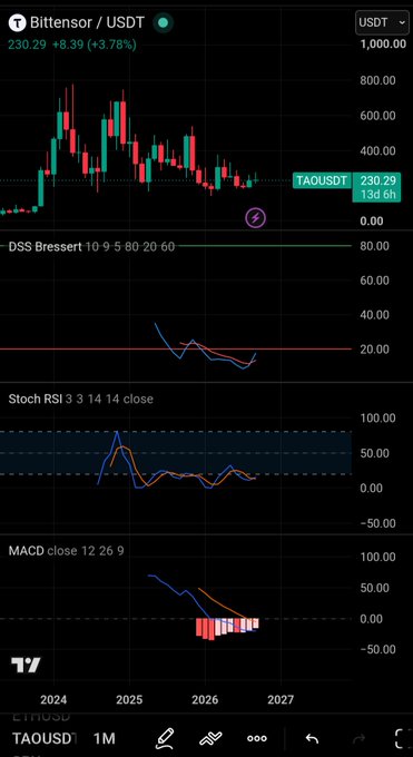 Cryptocurrency chart for Bittensor / USDT (TAOUSDT) showing a current price of 230.29 with a +3.78% increase, displayed on a TradingView interface with DSS Bressert, Stochastic RSI, and MACD indicators.