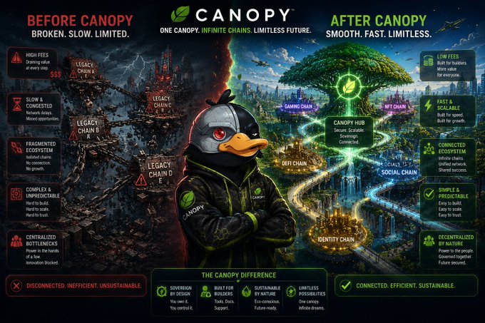 A 'CANOPY' promotional graphic comparing 'BEFORE CANOPY' (broken, legacy chains) with 'AFTER CANOPY' (smooth, DeFi ecosystem), featuring an anthropomorphic duck mascot.