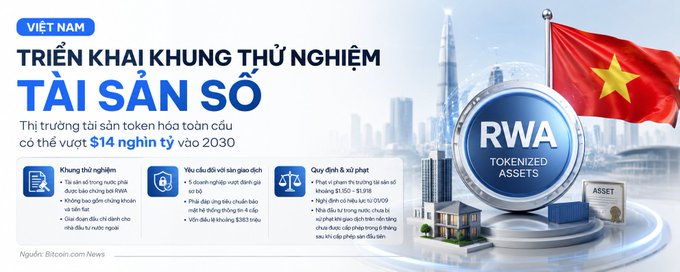 A Vietnamese infographic titled 'TRIỂN KHAI KHUNG THỬ NGHIỆM TÀI SẢN SỐ' regarding Vietnam's digital asset pilot framework, featuring the RWA Tokenized Assets logo and a Vietnamese flag.