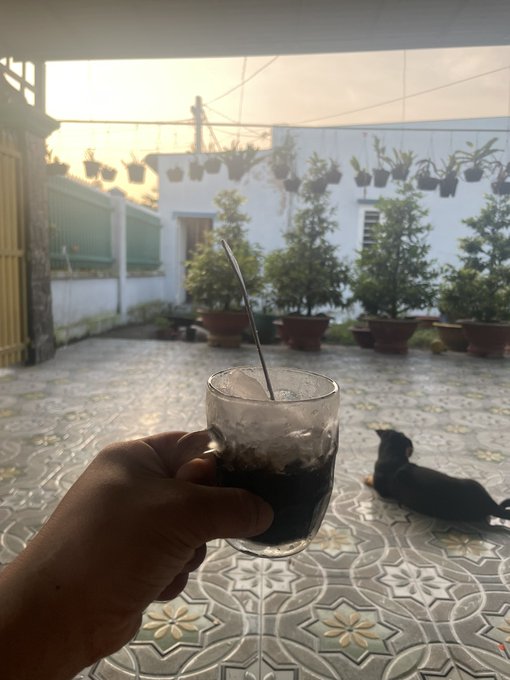A hand holds a glass of dark iced drink with a spoon in the foreground, overlooking a tiled patio with potted plants and a black cat lying on the ground during sunset.