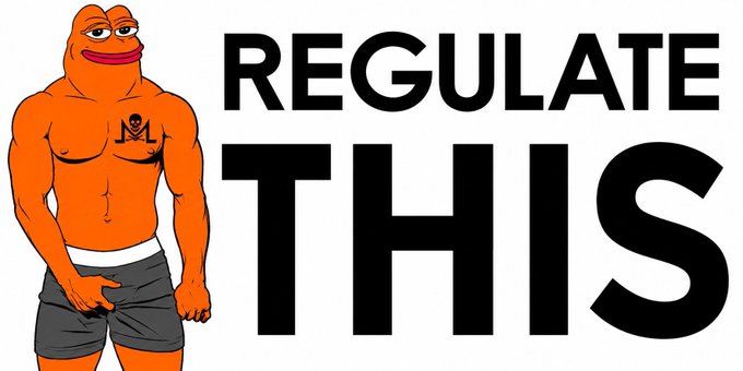 A cartoon meme featuring the orange Peppa the Frog-style character wearing boxer shorts with a chest tattoo, alongside the bold text 'REGULATE THIS'.