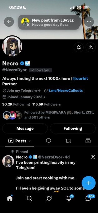 An identical Twitter/X profile screenshot for "Necro @NecroDyor" repeated, showing the same profile details, notification from L3v3Lxz saying "Have a good day Rosa," and pinned post about Telegram printing.