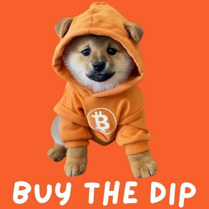 The image features a small brown dog wearing an orange hoodie with a white Bitcoin symbol on it. The dog appears to be sitting or standing against an orange background. Below the image of the dog, there's text that reads "Buy the Dip". This suggests that someone has purchased this adorable dog and is promoting the idea of buying Bitcoins as well.

The post seems to be related to Bitcoin trading, with a cute dog wearing a hoodie featuring a Bitcoin symbol serving as an advertisement for Bitcoin trading. The image captures the attention of viewers by combining the adorable appearance of the dog with the intriguing concept of Bitcoin trading in a visually appealing manner.