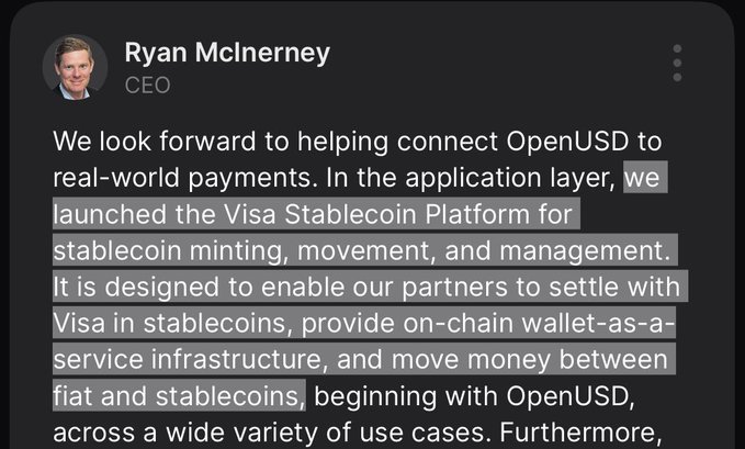 The image shows a social media post from Ryan McInerney, CEO of Visa, discussing the company's collaboration on the OpenUSD stablecoin initiative through the Visa Stablecoin Platform. The highlighted text mentions helping connect OpenUSD to real-world payments and launching the Visa Stablecoin Platform for stablecoin minting, movement, and management.