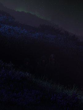 A dark nighttime landscape showing a field of flowers with a faint green aurora borealis visible in the starry sky.