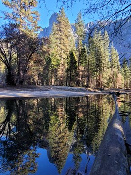 A serene landscape photo of a forested area with mountains, likely Yosemite, reflected in a still pond or river in the foreground.