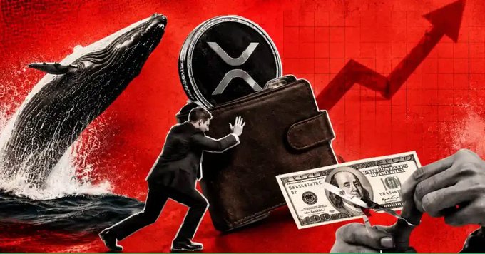 A dramatic red-hued collage featuring a breaching whale, a large XRP coin atop a wallet, a man pushing the wallet forward, and hands tearing a $100 bill, with an upward arrow in the background symbolizing price growth—visually reinforcing the caption about whales accumulating over 72 million XRP in 24 hours.