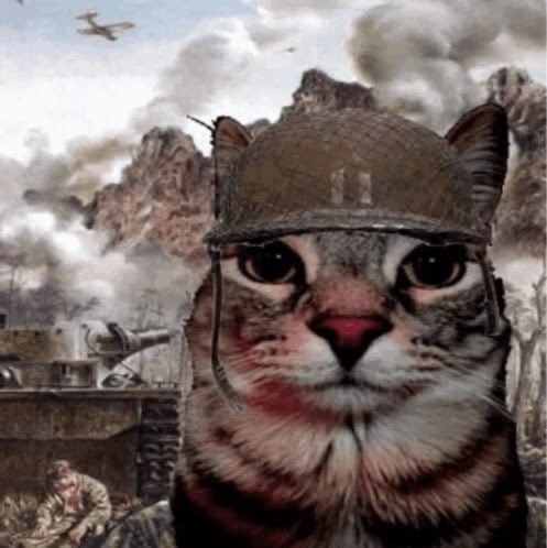 A cat wearing a military helmet in front of a WWII battlefield scene featuring a tank and soldiers.