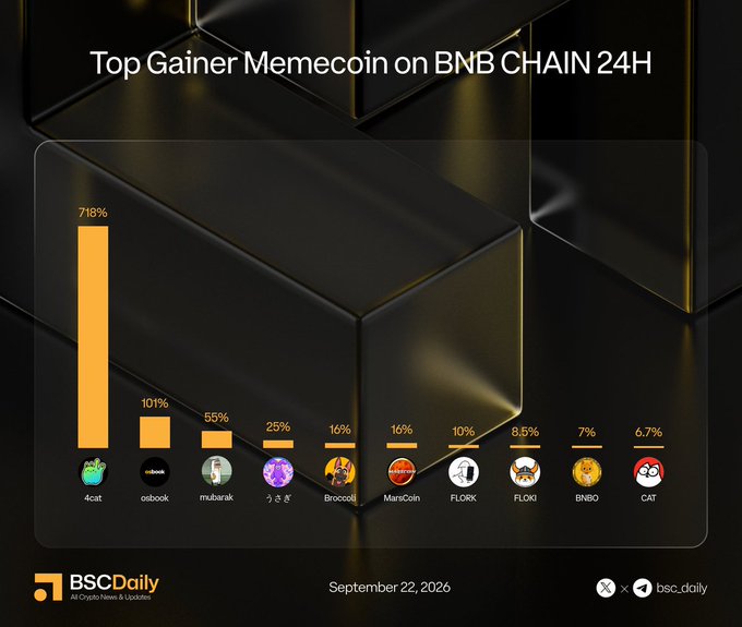 A chart titled "Top Gainer Memecoin on BNB CHAIN 24H" shows 4cat leading with 718%, followed by osbook (101%), mubarak (55%), うさぎ (25%), Broccoli (16%), MarsCoin (16%), FLORK (10%), FLOKI (8.5%), BNBO (7%), and CAT (6.7%), with each ticker matched to its social media handle as referenced in the accompanying post.