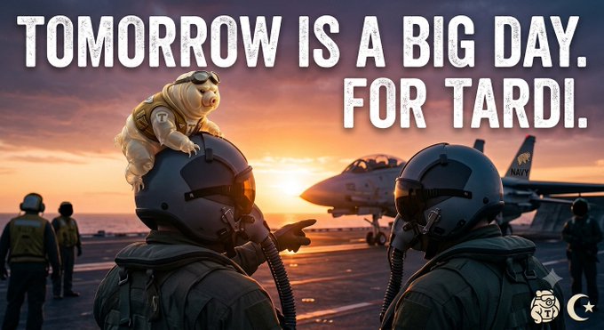 A meme image showing two fighter pilots on an aircraft carrier at sunset with a Turkish naval jet in the background, featuring a teddy bear on one helmet and the text 'TOMORROW IS A BIG DAY. FOR TARDI.' with a Turkish flag crescent and star.