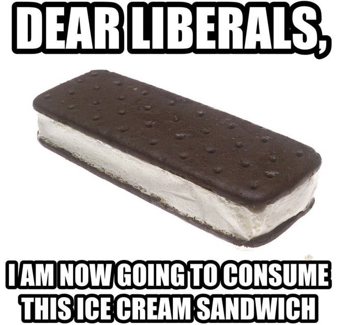 A meme showing an ice cream sandwich with the text 'DEAR LIBERALS,' at the top and 'I AM NOW GOING TO CONSUME THIS ICE CREAM SANDWICH' at the bottom.