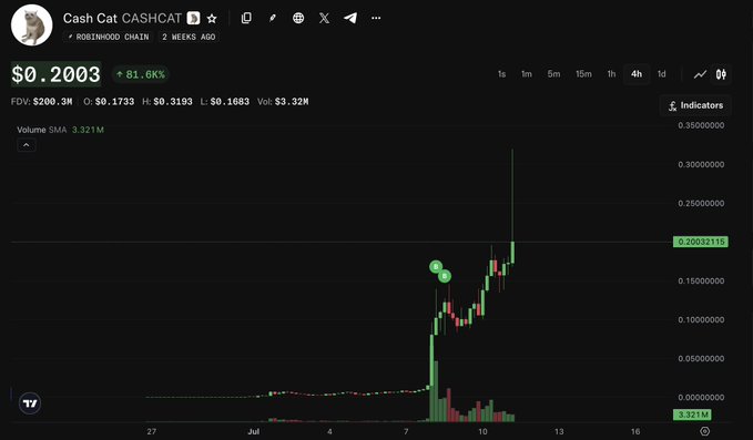 A TradingView chart shows Cash Cat (CASHCAT) on the Robinhood Chain at $0.2003, up 81.6%, with a significant price spike visible on the 4-hour candlestick chart.