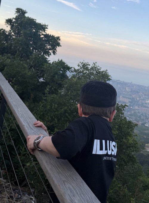 A young boy in a black "ILLUSION (UNDER TRUE)" t-shirt and backwards cap leans on a wooden railing, gazing out over a hazy cityscape below. The image captures the same shocked, breathtaking perspective as checking a neglected portfolio and realizing either everything has crashed or everything has mooned—with no in-between.