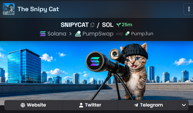 A cryptocurrency token page titled 'The Snipy Cat' (SNIPYCAT / SOL) displayed on what appears to be a meme token platform, showing a cat wearing a beanie and operating a Solana-branded sniper rifle telescope.