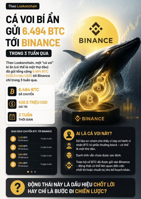 An infographic in Vietnamese titled 'CÁ VOI BÍ ẨN GỬI 6.494 BTC TỚI BINANCE', detailing that a mysterious whale transferred 6,494 BTC ($420.5 million) to Binance over 3 weeks.