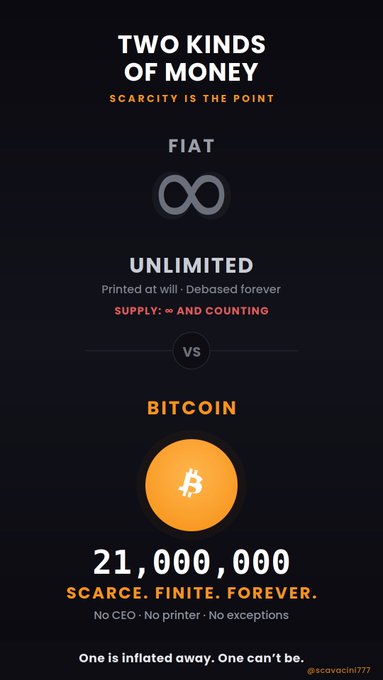 An infographic comparing Fiat and Bitcoin titled 'TWO KINDS OF MONEY', highlighting that Bitcoin has a finite supply of 21,000,000, credited to '@scavacini777'.