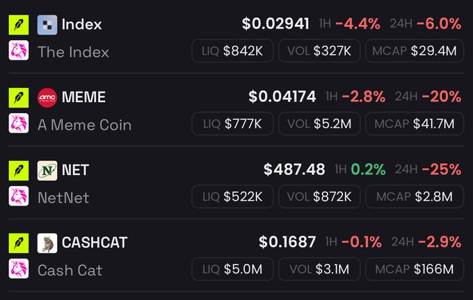 A cryptocurrency tracking dashboard displays four tokens including Index ($0.02941, down 6%), MEME ($0.04174, down 20%), NET ($487.48, down 25%), and CASHCAT ($0.1687, down 2.9%), with most showing significant 24-hour declines despite their various market caps ranging from $2.8M to $166M. The image supports the post by illustrating a portfolio of small-cap altcoins that the user would invest in, though the substantial losses suggest these are higher-risk, volatile picks.