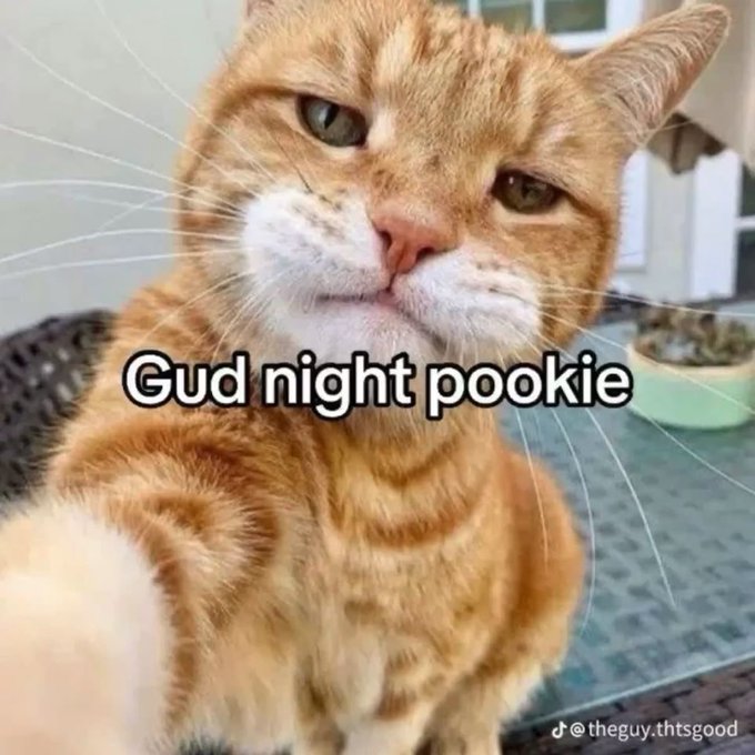 A close-up photo of an orange tabby cat with a slightly grumpy or unimpressed expression, with the text "Gud night pookie" overlaid, credited to TikTok user @theguy.thtsgood.